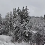 Apartment Sunny Mountain View Kometa Pamporovo