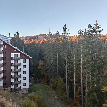 Sunny Mountain View Kometa Apartment *