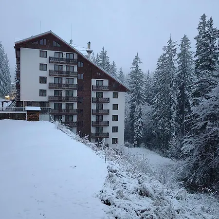 Sunny Mountain View Kometa