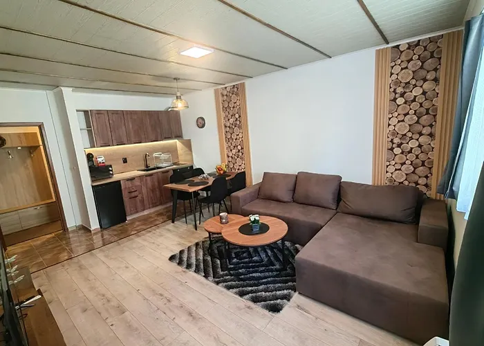 Sunny Mountain View Kometa Apartament