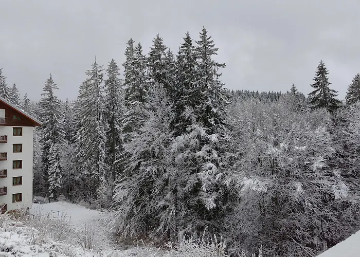 Apartament Sunny Mountain View Kometa Pamporowo